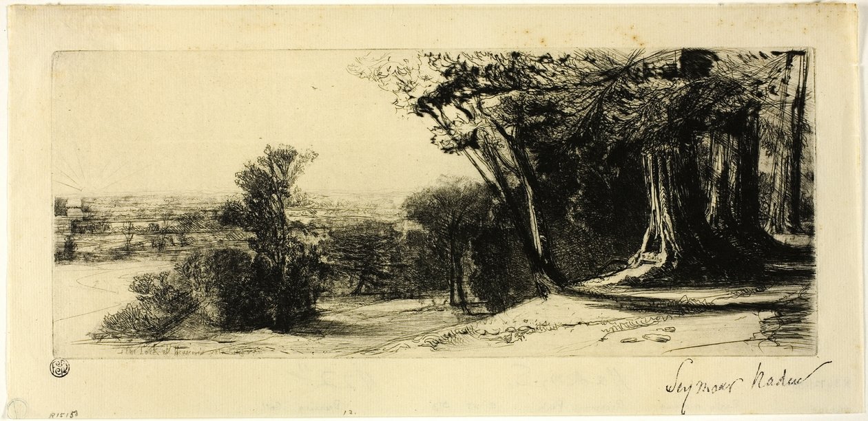 Früher Morgen, Richmond Park von Francis Seymour Haden