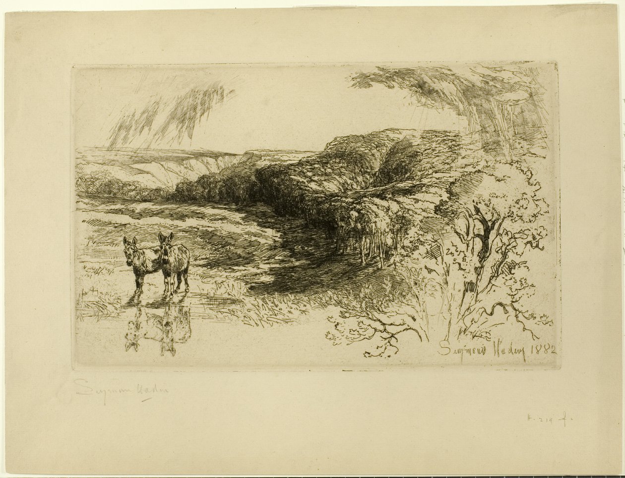Encombe Woods, Nr. II von Francis Seymour Haden