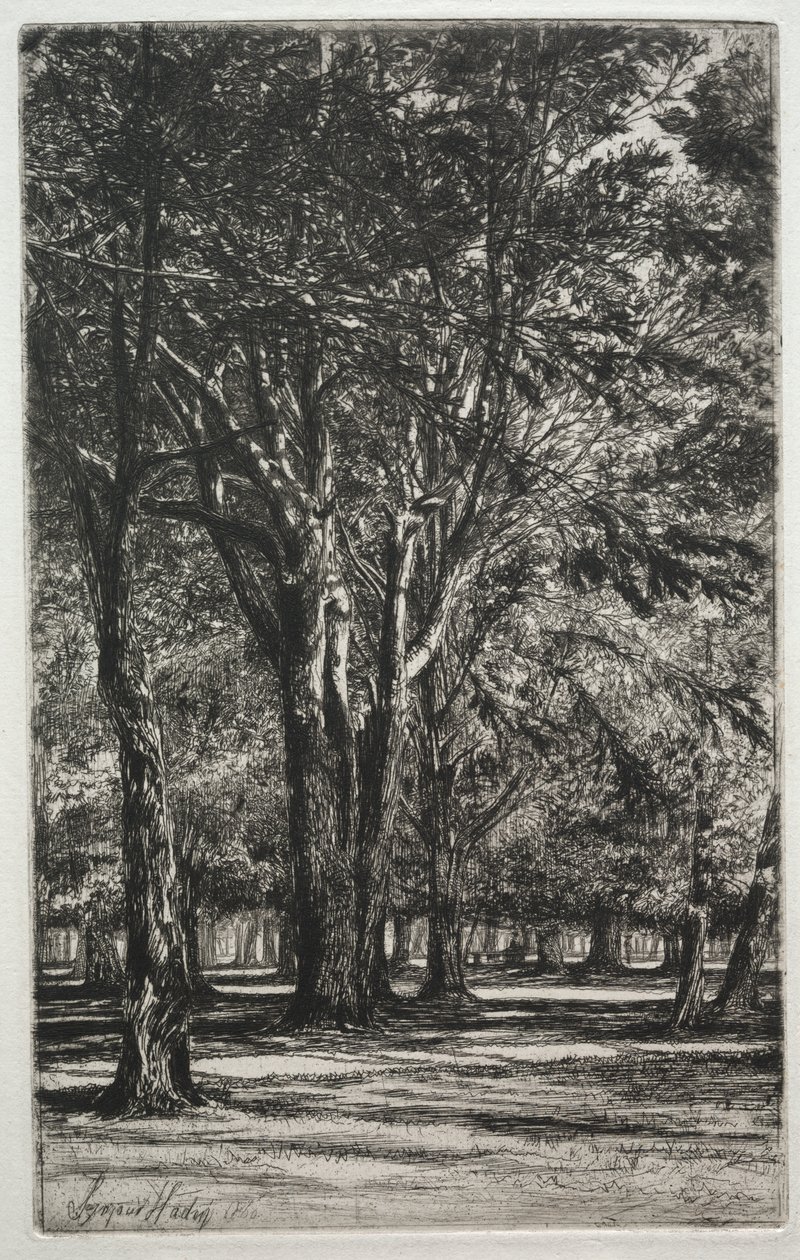 Kensington Gardens (Die große Platte) von Francis Seymour Haden