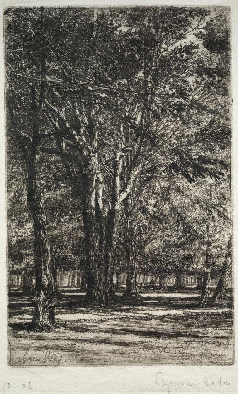 Kensington Gardens (Die größere Platte) von Francis Seymour Haden