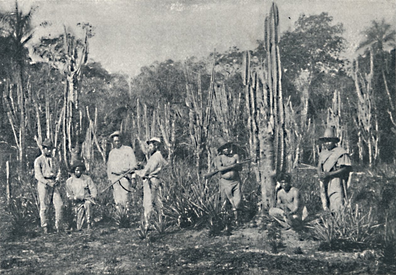 Campos, 1895 von Francisco Henszler