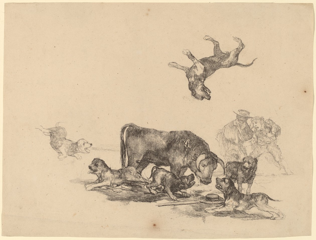 Stier von Hunden angegriffen von Francisco de Goya
