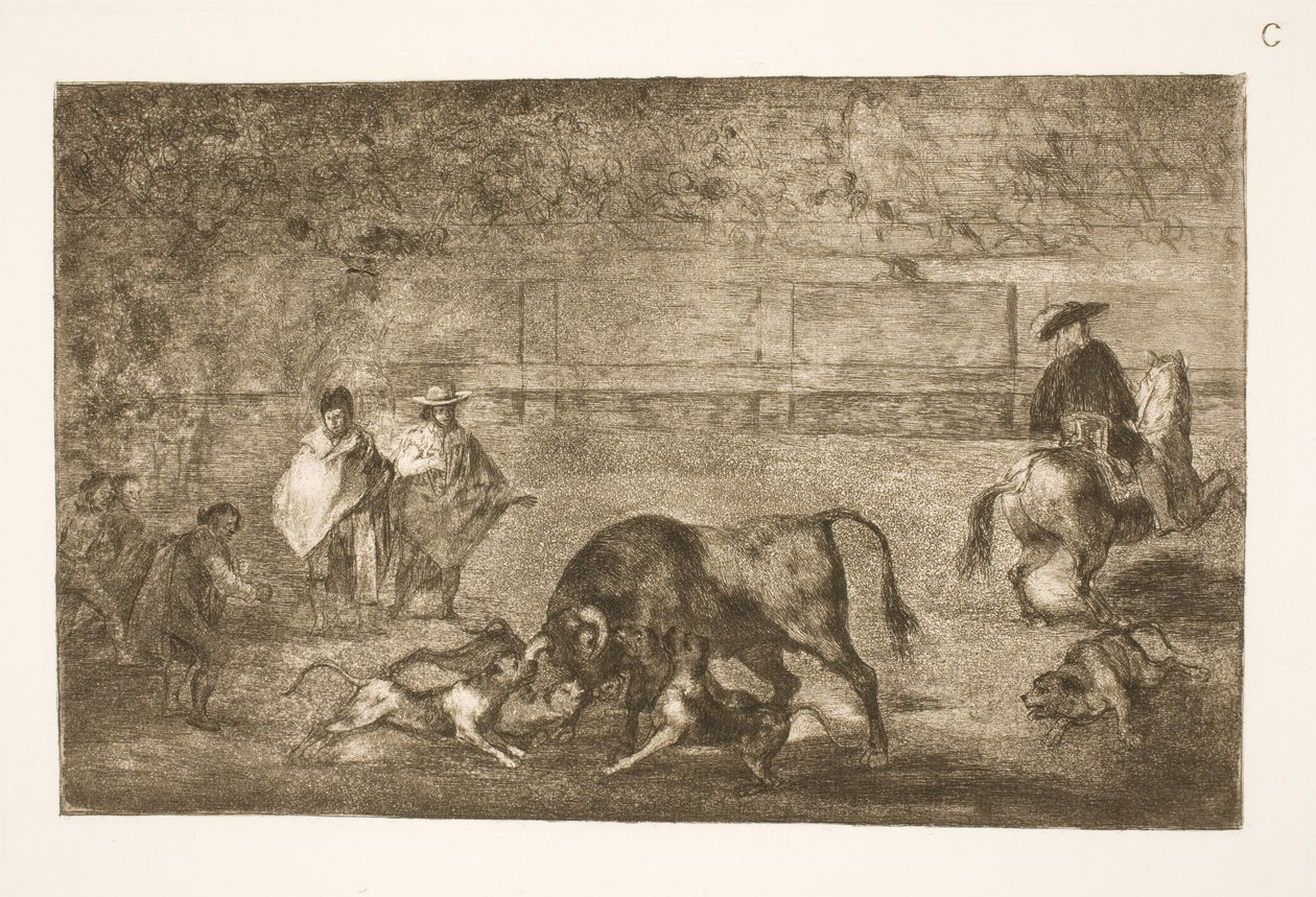 Die Hunde werden auf den Stier gehetzt von Francisco de Goya