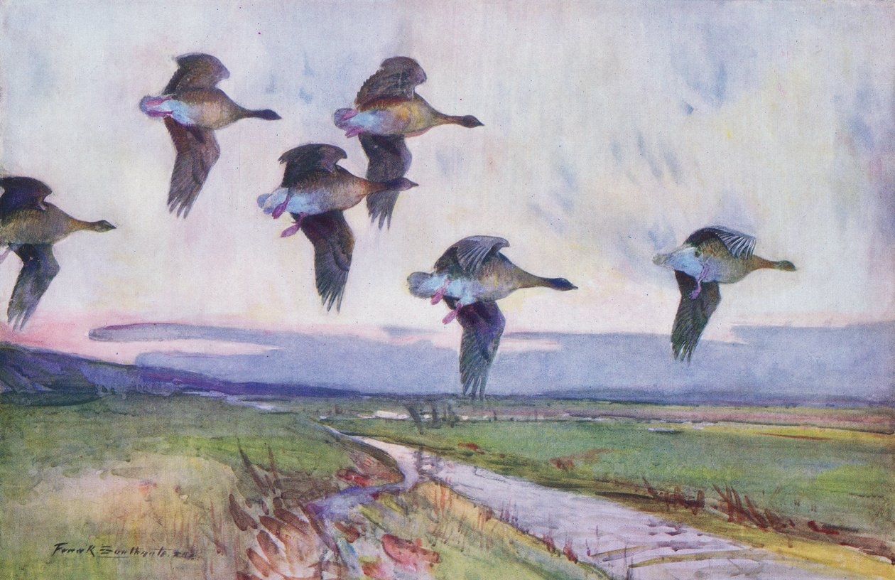 Der Abendflug von Frank Southgate