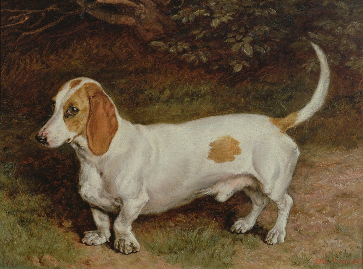 Mein Lieblingsdackel, 1885 von Frank Paton