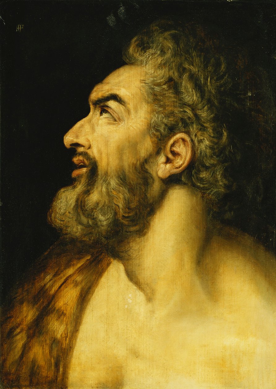 Der Kopf von Johannes dem Täufer von Frans Floris