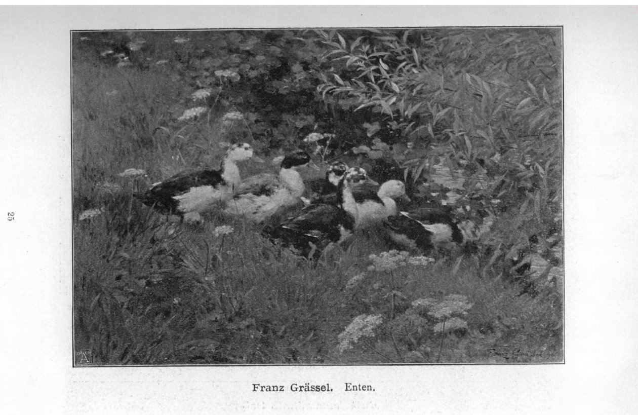 Enten von Franz Grassel