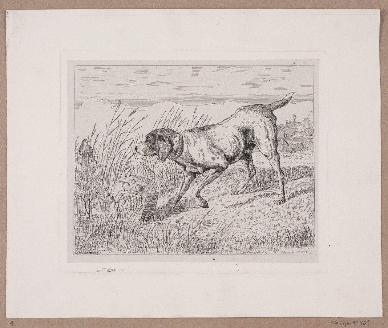 Ein Jagdhund von Frede Aamodt