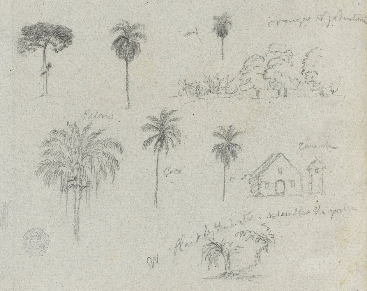 Skizzen vom Rio Magdalena, Kolumbien. Botanische Skizzen. Eine Kirche. Ähnlich wie -103. von Frederic Edwin Church