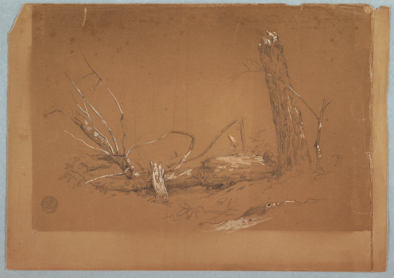 Zeichnung, Ein gebrochener toter Baum, 1855–65 von Frederic Edwin Church