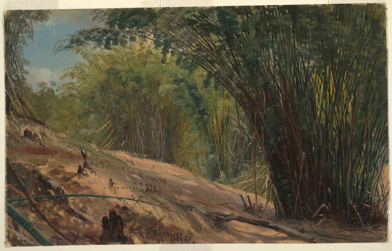 Bambushain, Jamaika von Frederic Edwin Church
