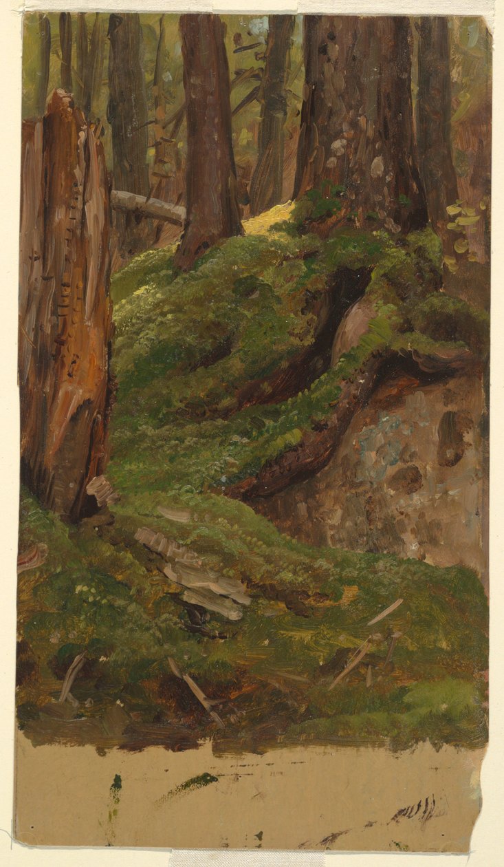 Maine? Wälder, 1855–65 von Frederic Edwin Church
