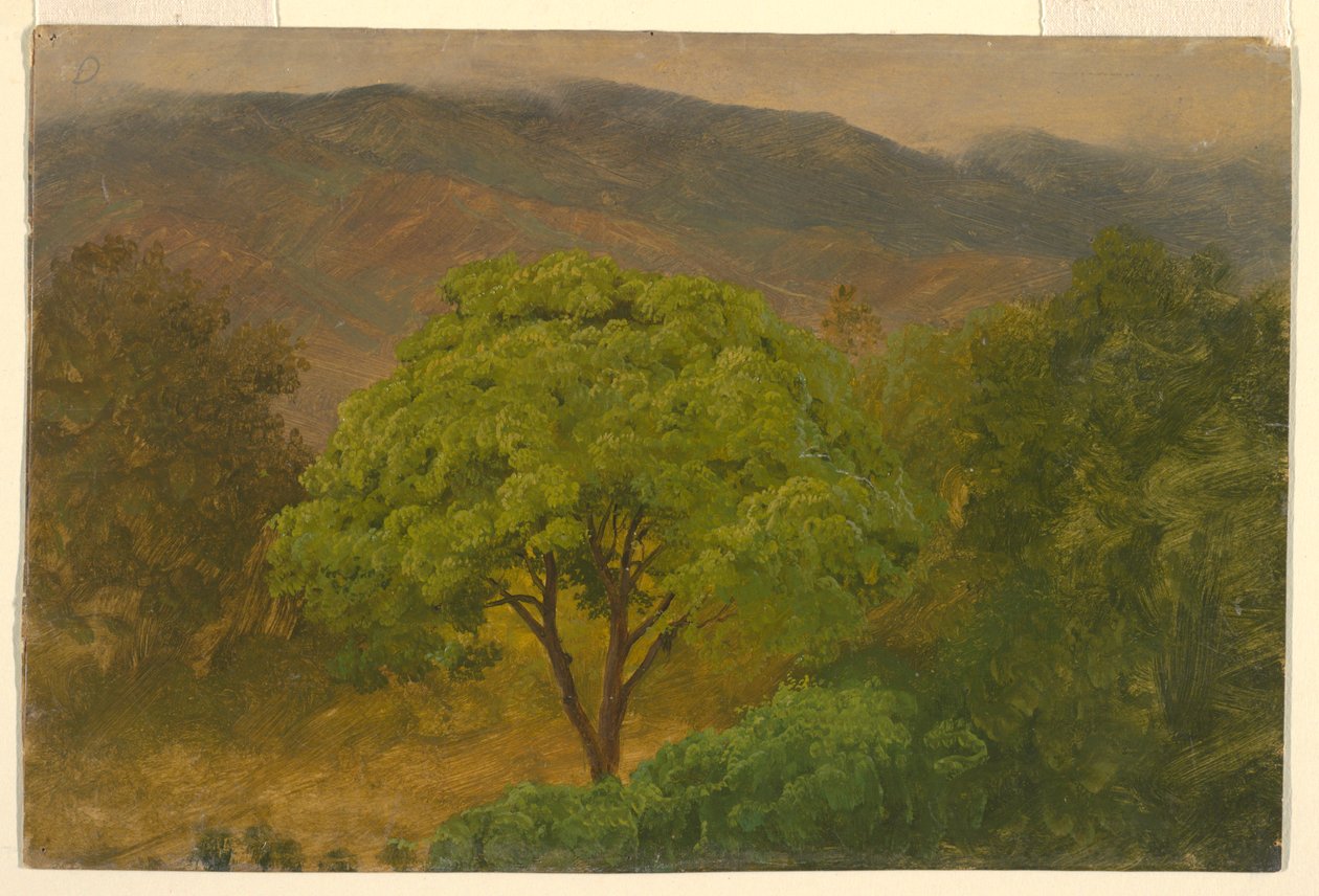Zeichnung, Berglandschaft, August 1865 von Frederic Edwin Church