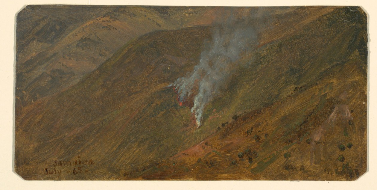 Zeichnung, Berghang mit Buschfeuer, Juni 1865 von Frederic Edwin Church