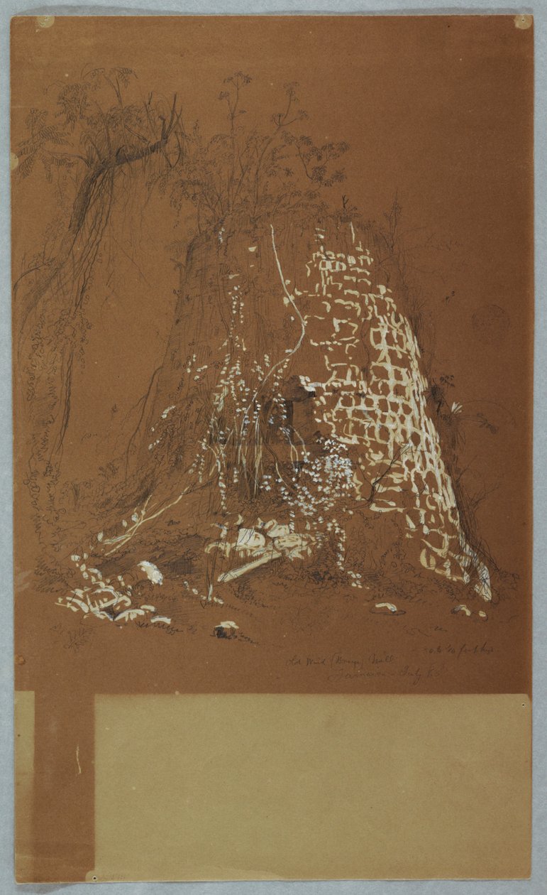 Alte Windmühle, Jamaika von Frederic Edwin Church