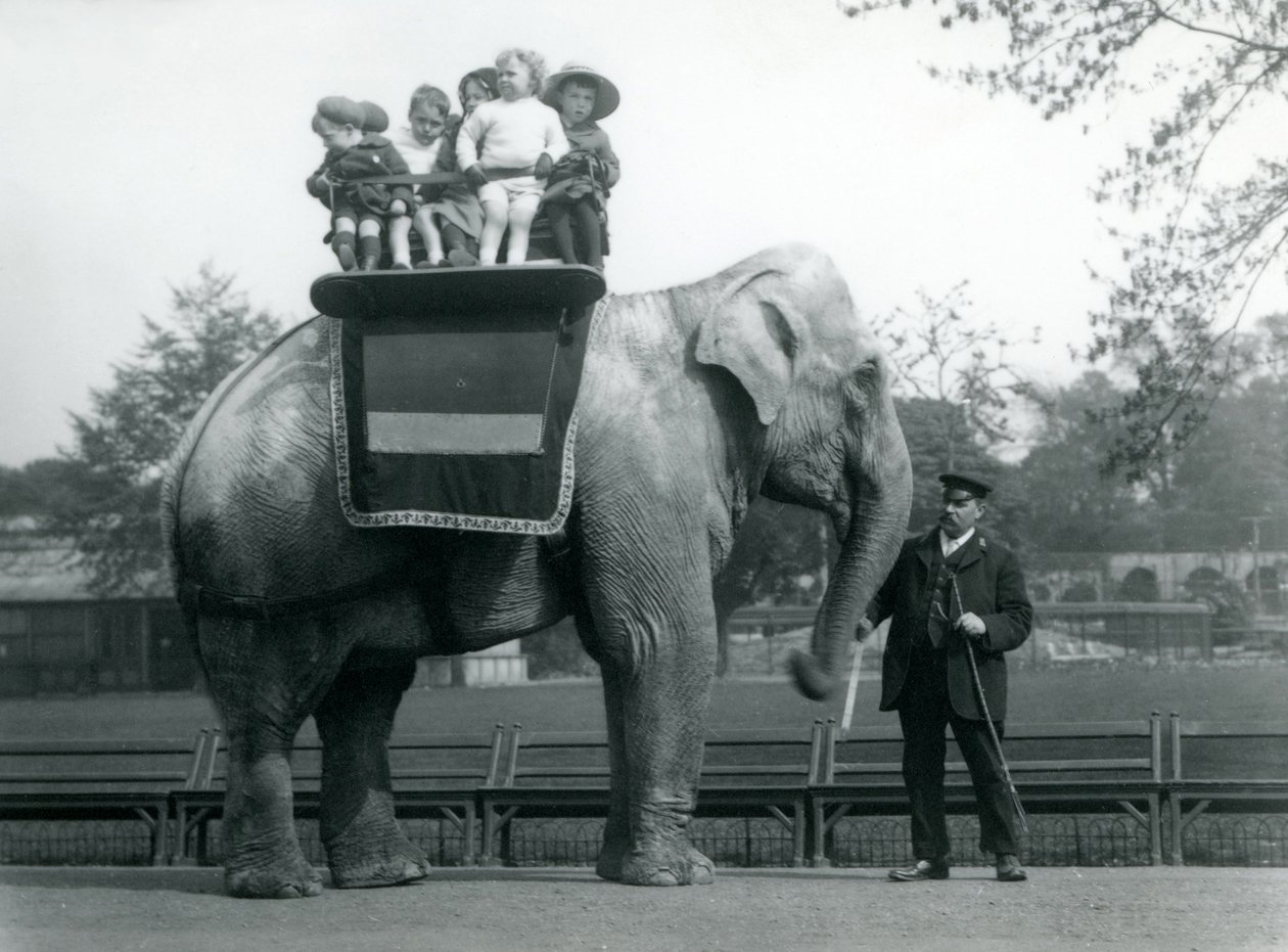 Ein indischer Elefant, mit Wärter, der kleine Kinder im Londoner Zoo reitet, um 1913 von Frederick William Bond