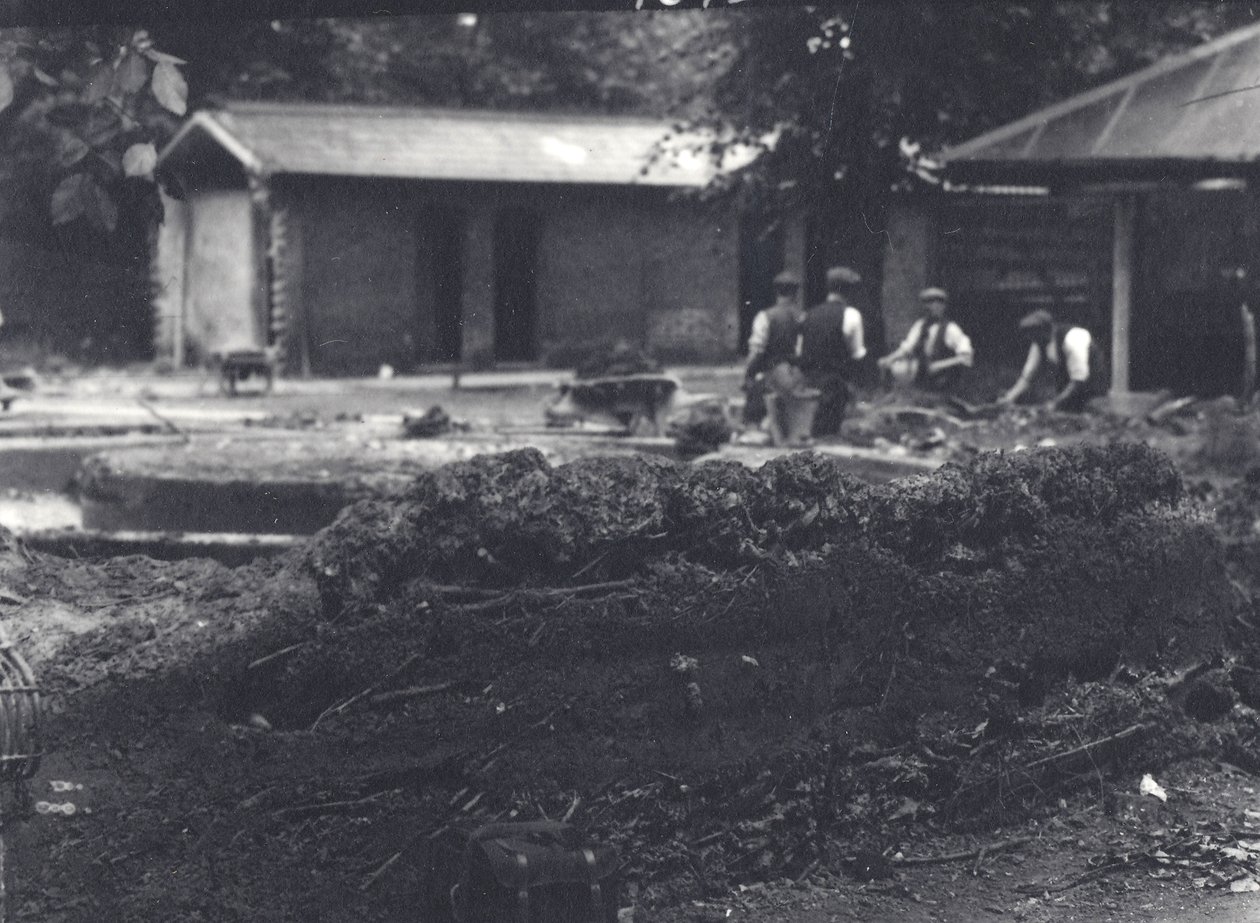 Biberbau mit Wärtern im Hintergrund, London Zoo, Juli 1916 von Frederick William Bond