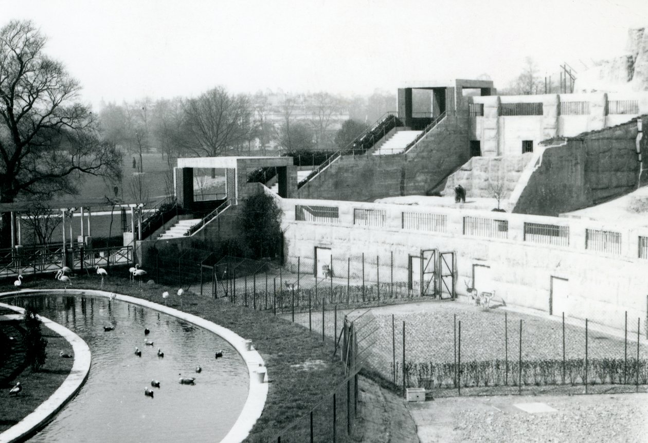 Einfriedungen vor den Mappin Terraces, London Zoo, 1922 von Frederick William Bond