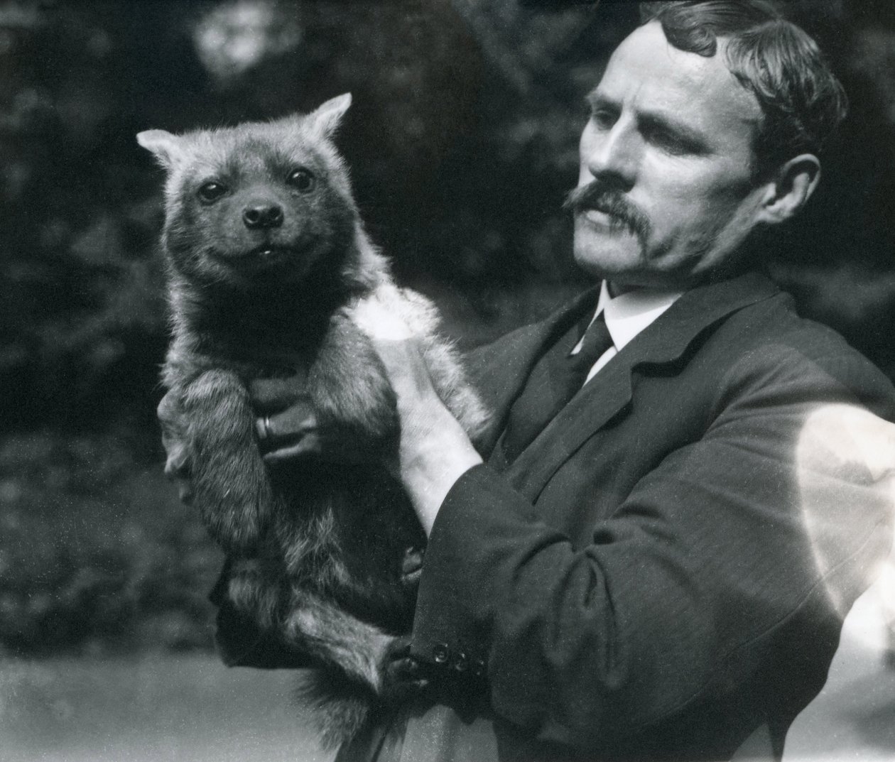 Wärter Charles Dixon hält ein Baby-Hyäne im Londoner Zoo, 1919 von Frederick William Bond