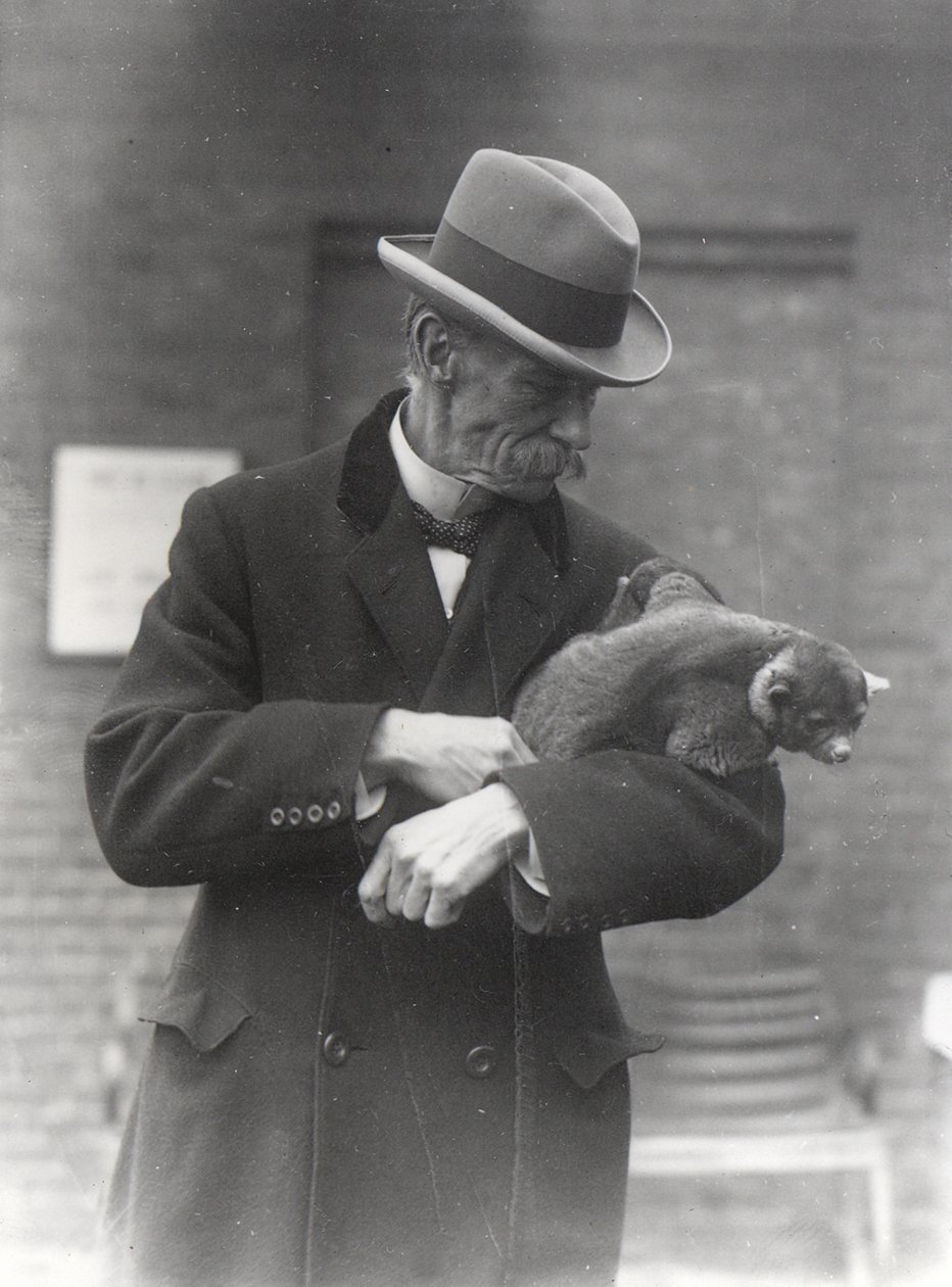 R. I. Pocock mit einem Kinkajou von Frederick William Bond