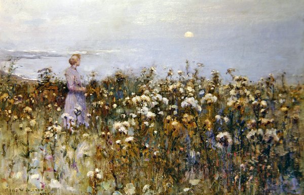Sommersonne von Frederick William Jackson
