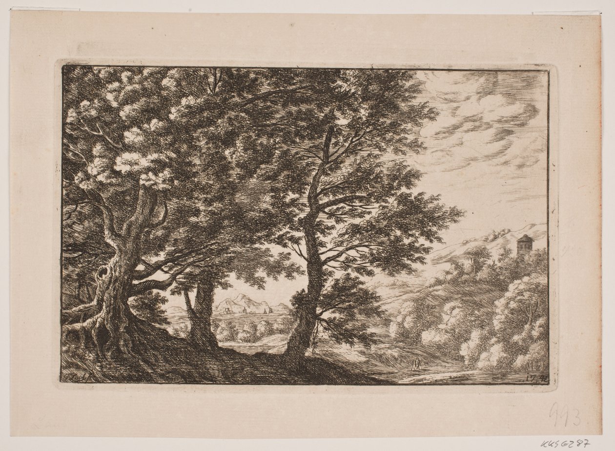 Bergige Landschaft mit großen Bäumen von Frederik Laub