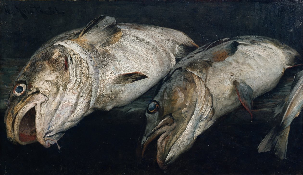 Kabeljau von Fredrik Kolstoe