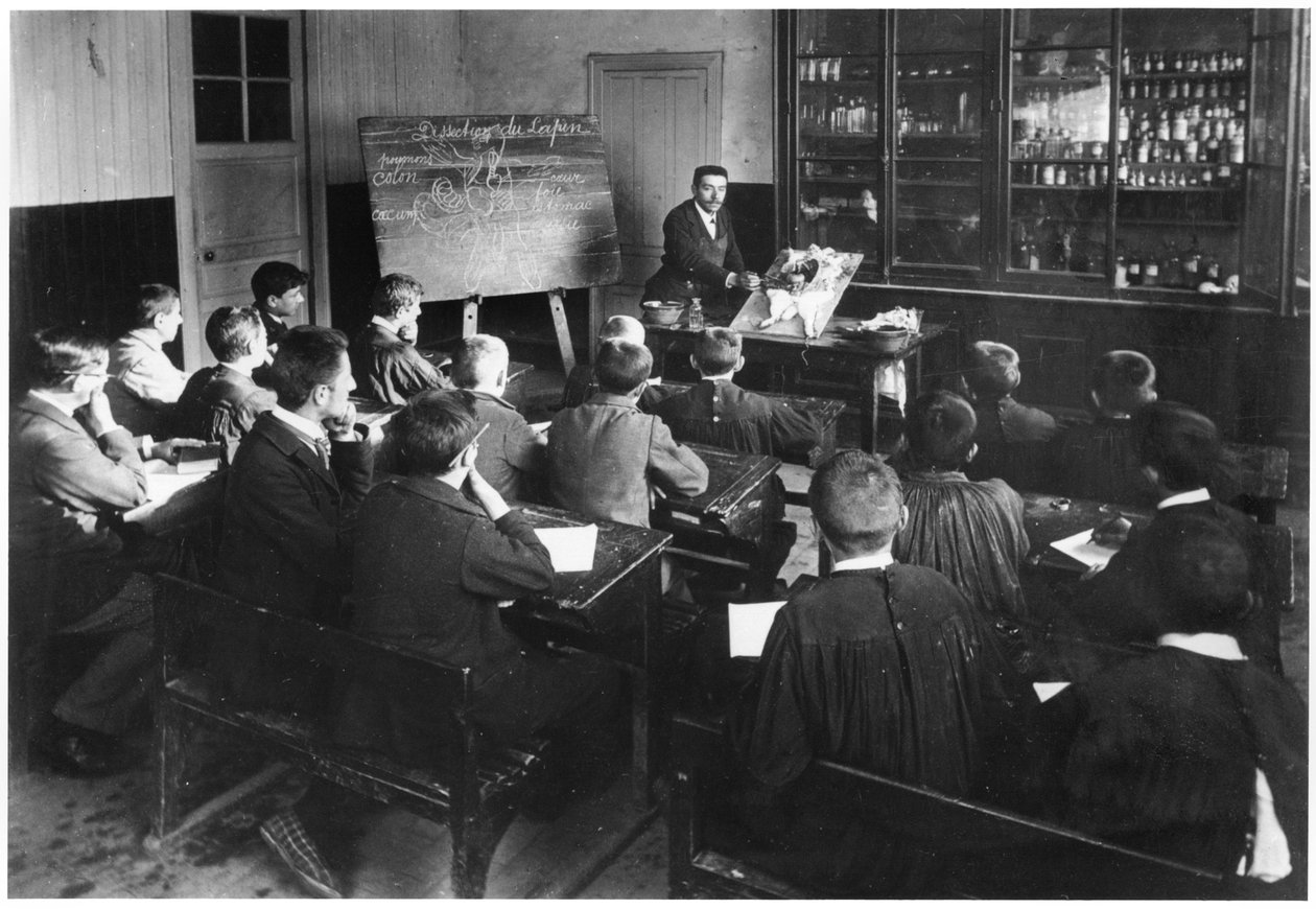 Eine Naturgeschichtsklasse in einer Grundschule, Orme, Sezieren eines Kaninchens, frühes 20. Jahrhundert von French Photographer