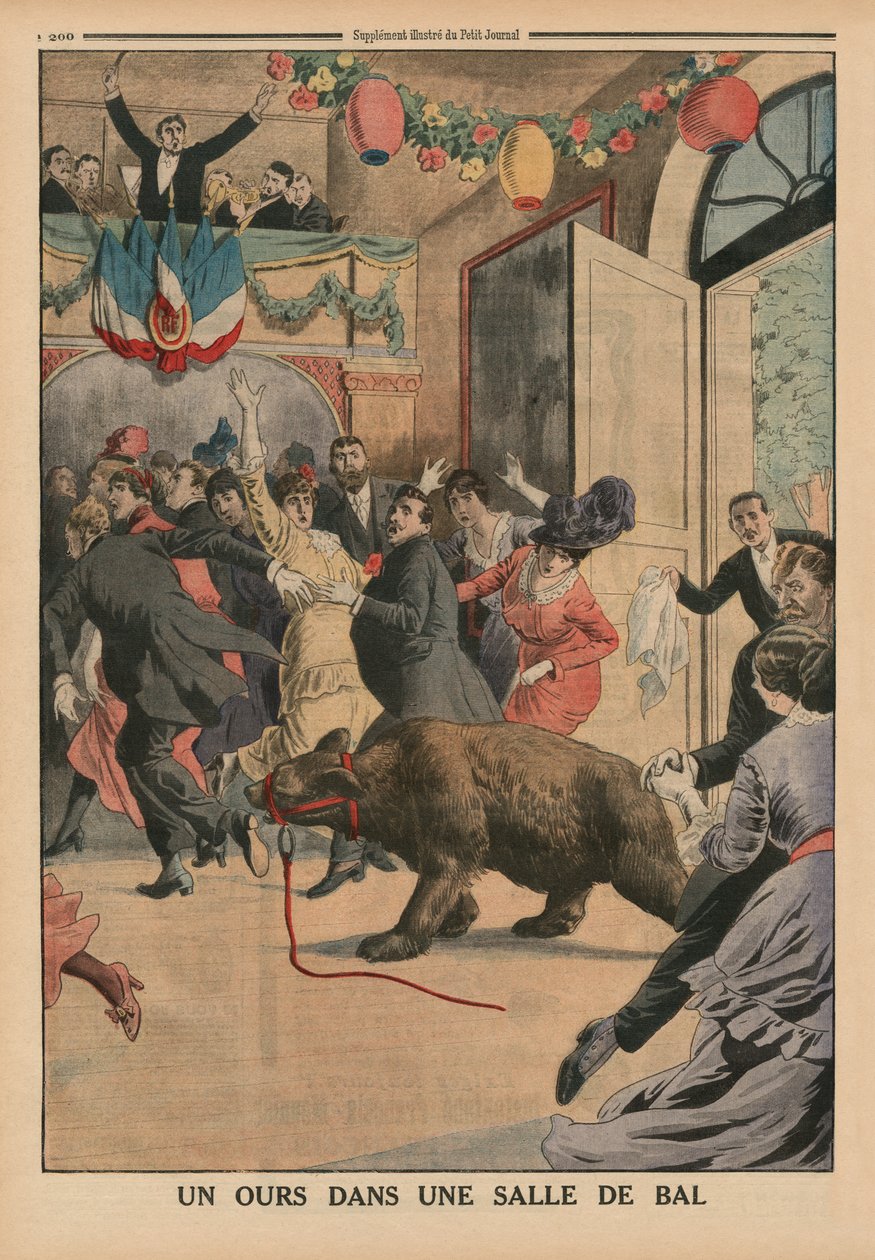 Ein Bär in einem Ballsaal, Rückseitige Illustration aus 