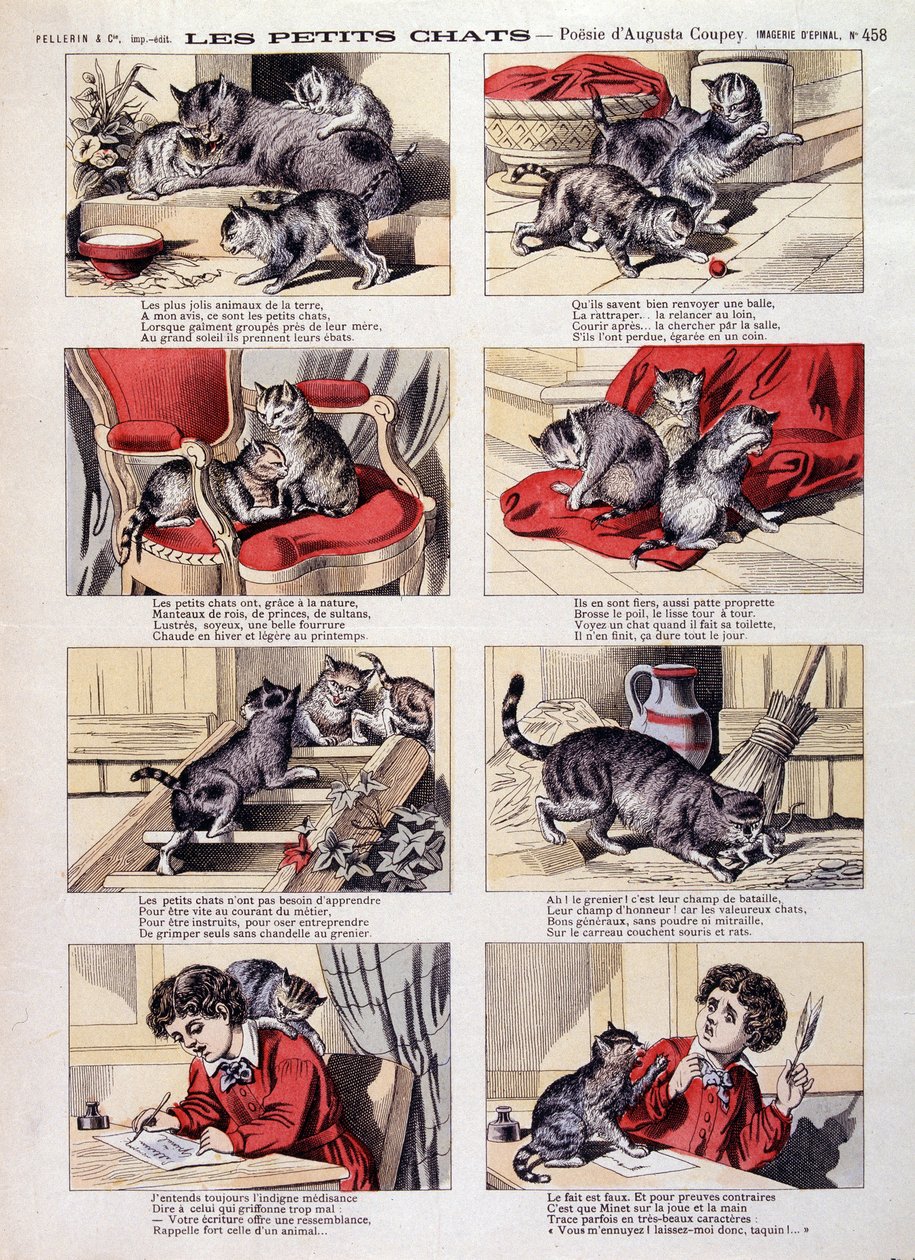 Kleine Katzen - Epinal-Bild von French School