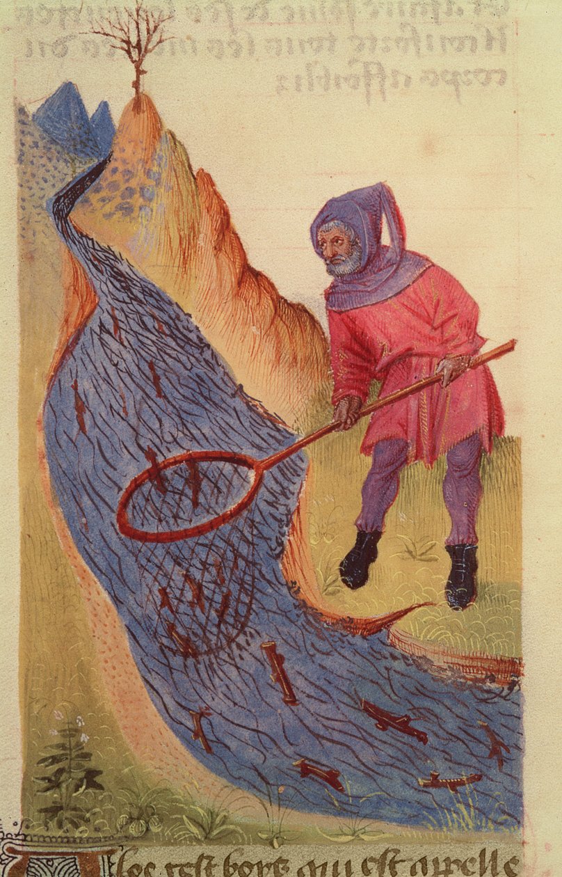 Fischer, aus Grand Herbier von French School