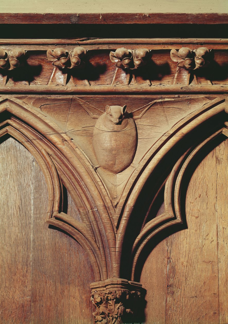 Vampirfledermaus, von einem Chorgestühl von French School
