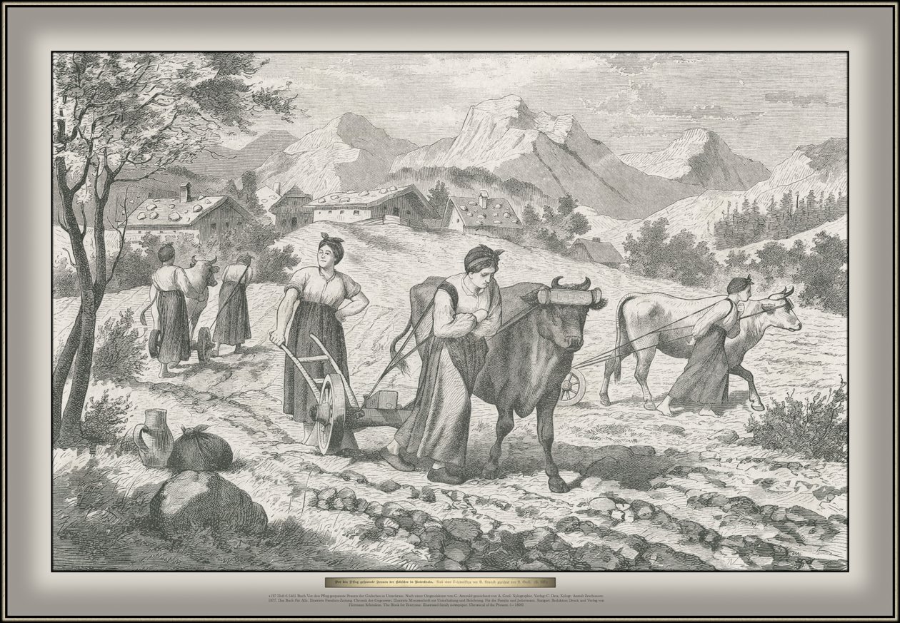 Buch Vor den Pflug gespannte Frauen der Gödsches in Unterkrain von G. Arnould