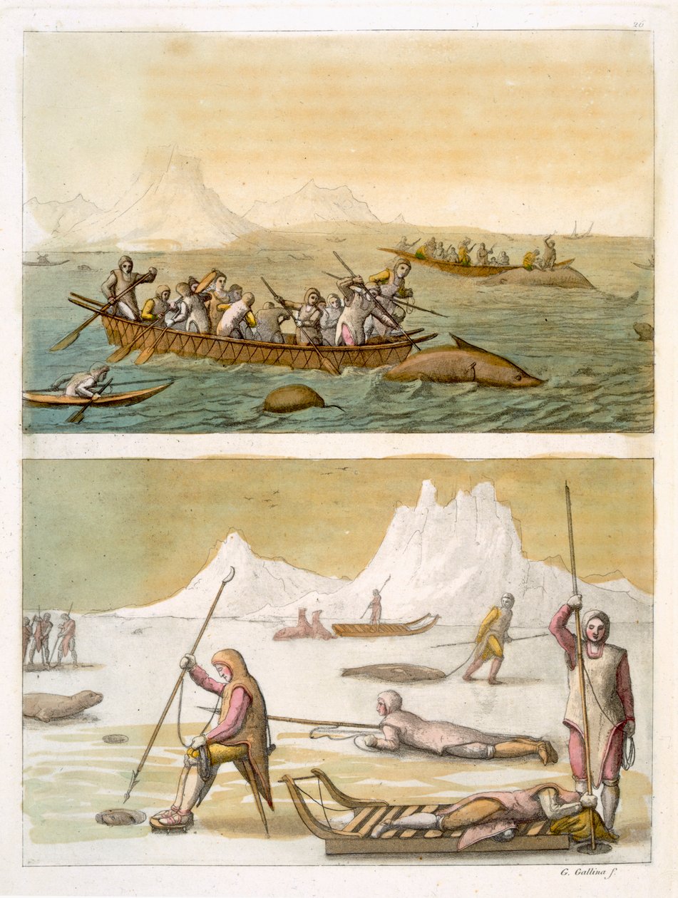 Grönland: Walfang und Robbenjagd, aus 