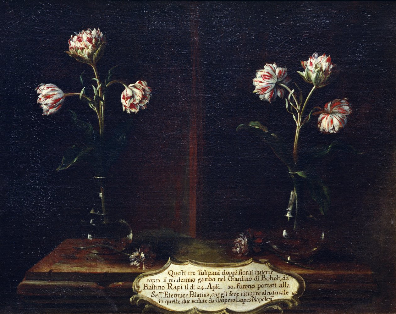 Tulpen von Gasparo Lopez