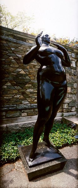 Stehende Frau (Erhebung) von Gaston Lachaise