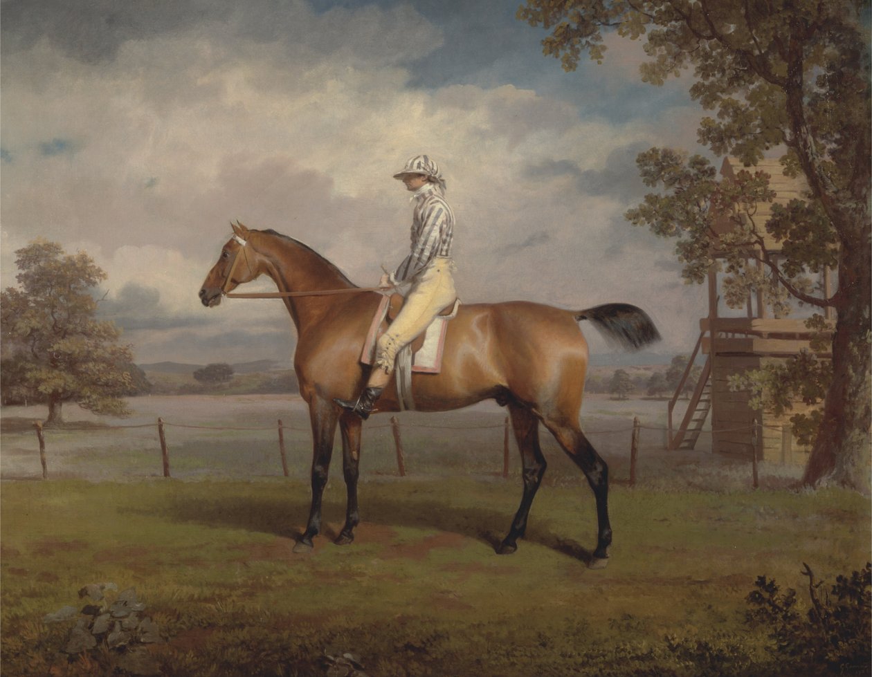 Porträt eines Rennpferdes, möglicherweise Disguise, im Besitz des Herzogs von Hamilton, mit Jockey von George Garrard
