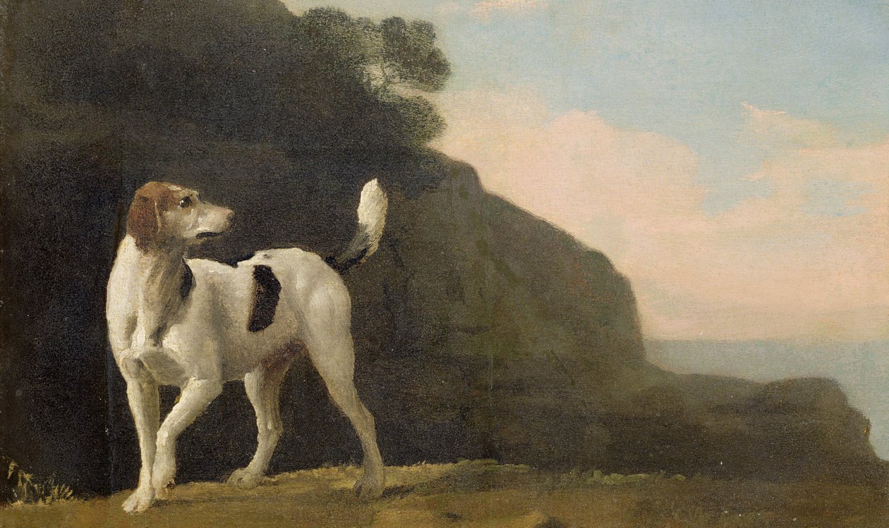 Ein Foxhound, ca. 1760 von George Stubbs