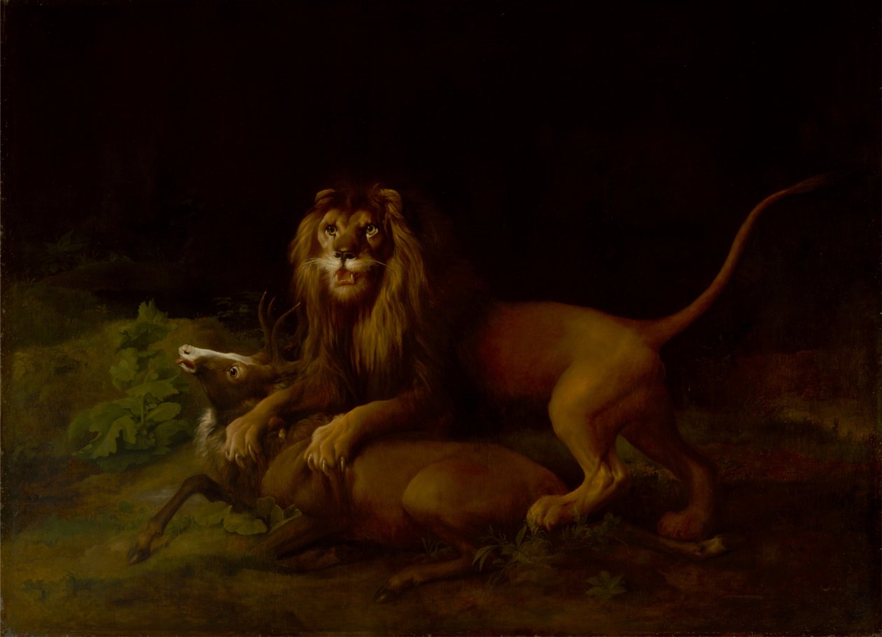 Ein Löwe greift einen Hirsch an von George Stubbs