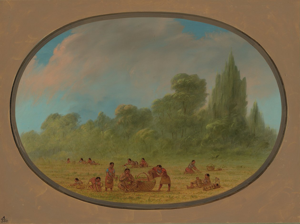 Caddoe-Indianer sammeln wilde Erdbeeren, 1861-1869 von George Catlin
