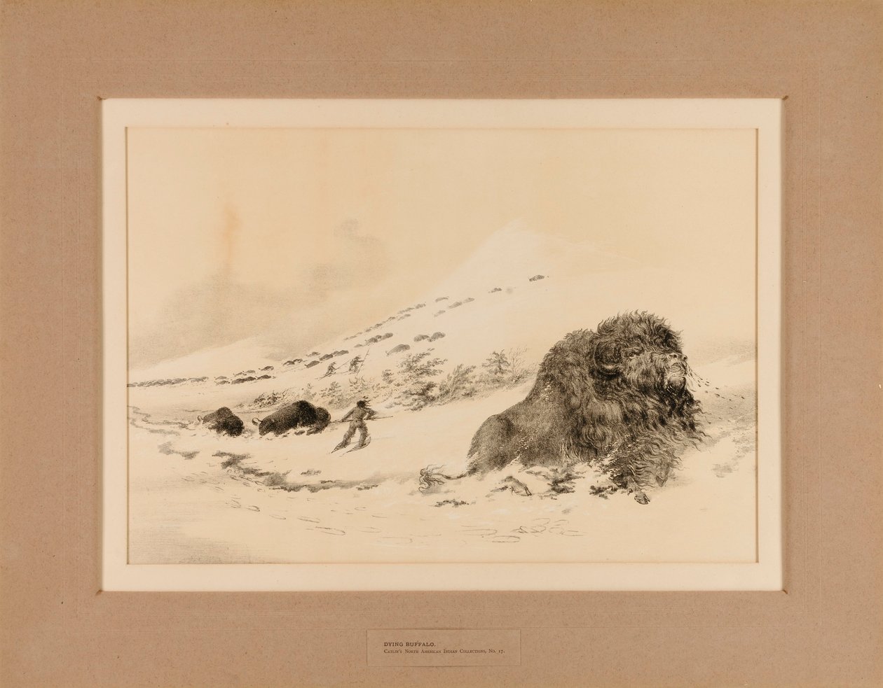 Sterbender Büffel von George Catlin