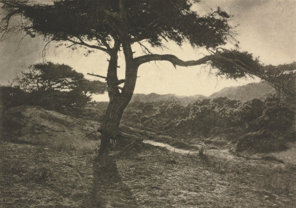 Camera Work: Der lange Arm von George Davison