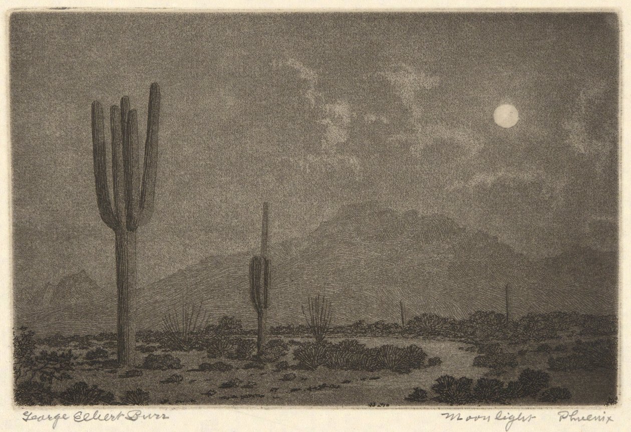 Mondlicht-Phönix von George Elbert Burr