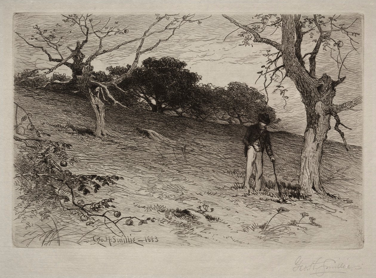Landschaft, 1883 von George Henry Smillie