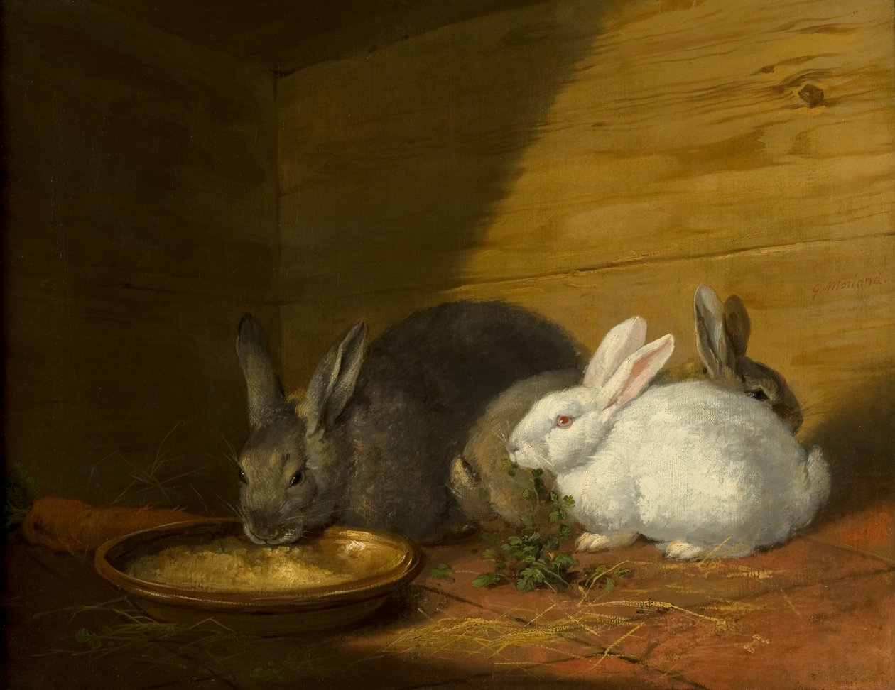 Kaninchen von George Morland