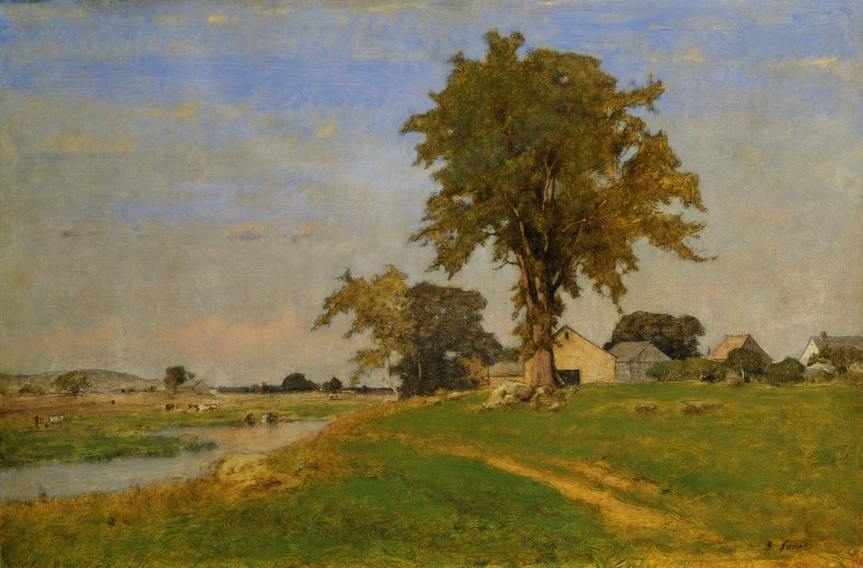 Alter Ulme in Medfield von George Snr. Inness