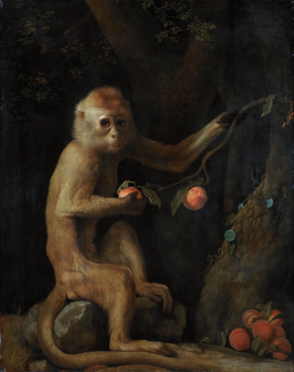 Ein Affe von George Stubbs