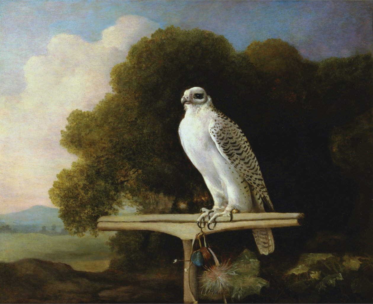 Grönlandfalke von George Stubbs