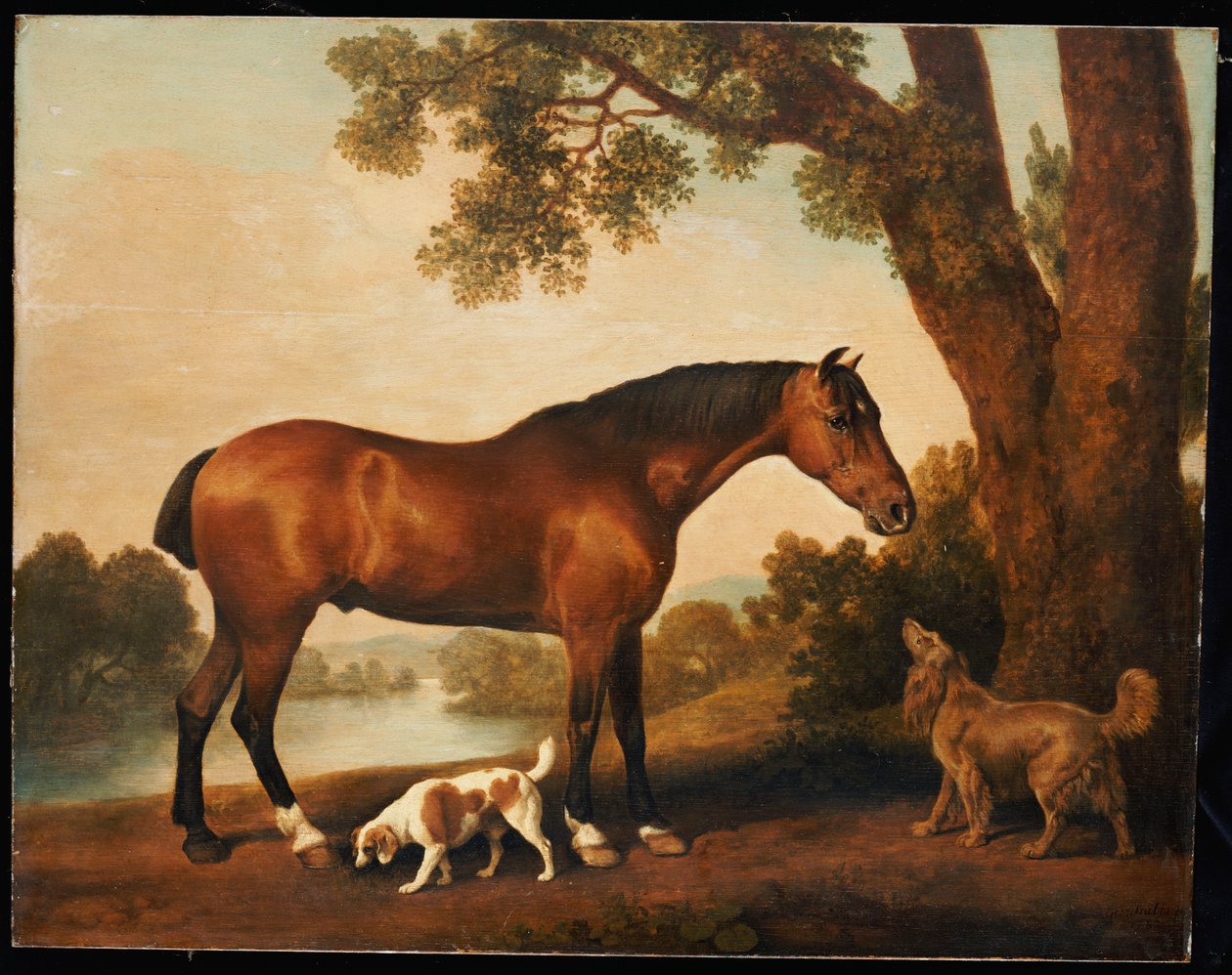 Unbekanntes Bild von George Stubbs