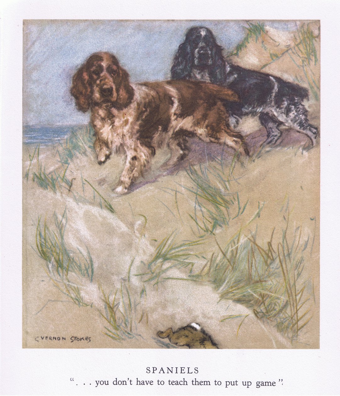 Spaniels von George Vernon Stokes